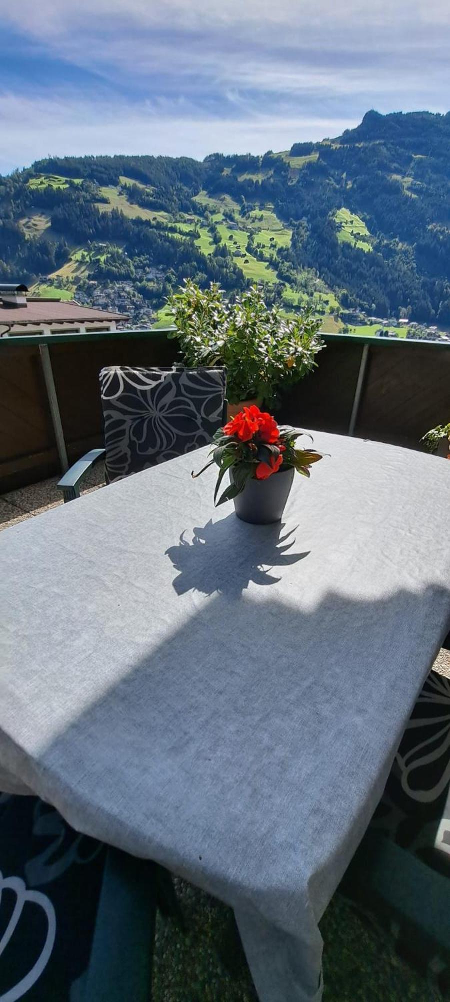 Steinberger Apartment